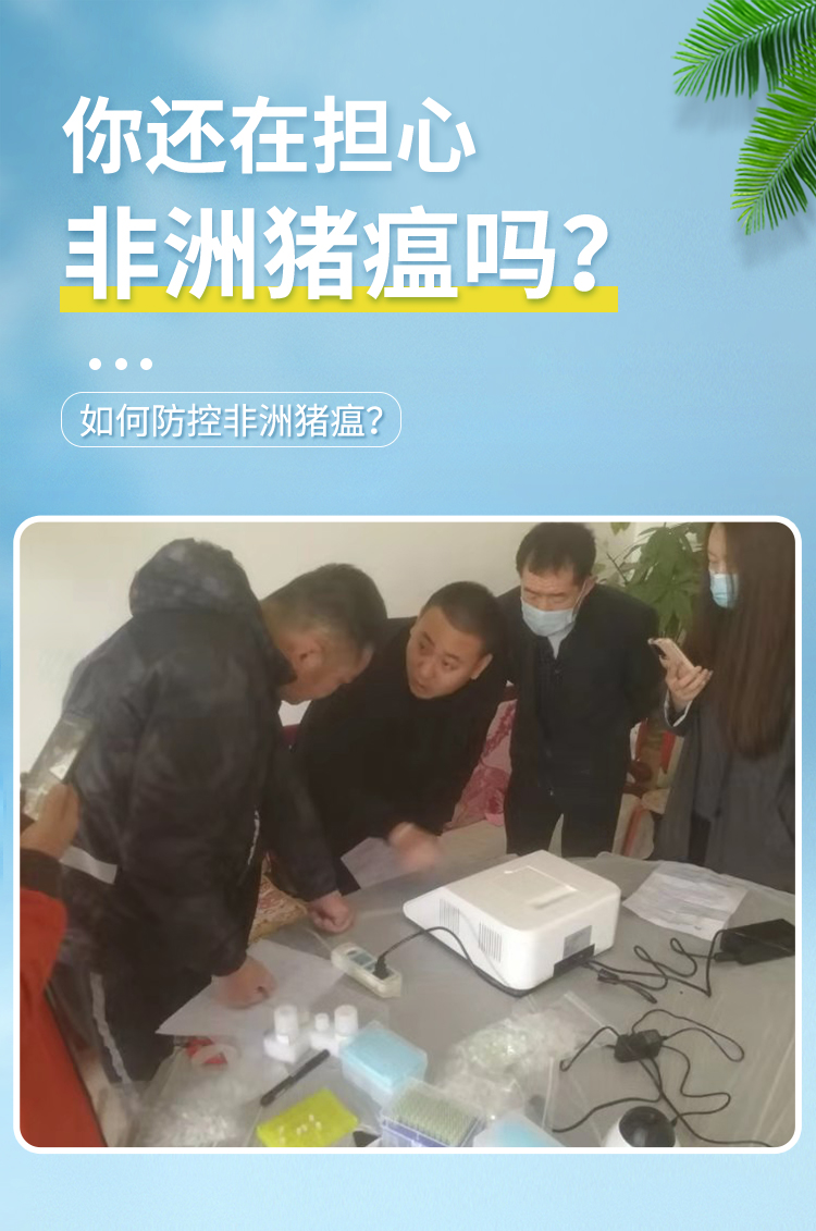 非洲猪瘟检测仪 非洲猪瘟检测仪