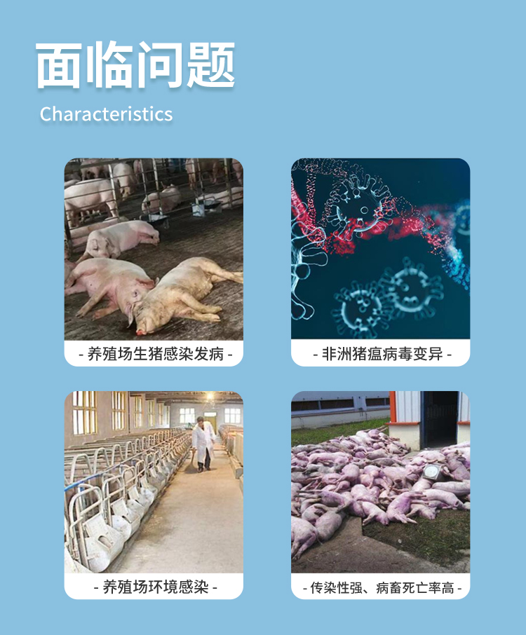 非洲猪瘟检测仪 非洲猪瘟检测仪