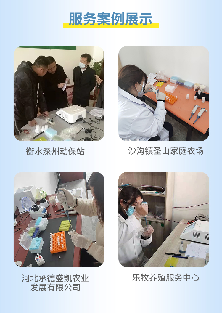 非洲猪瘟检测仪 非洲猪瘟检测仪