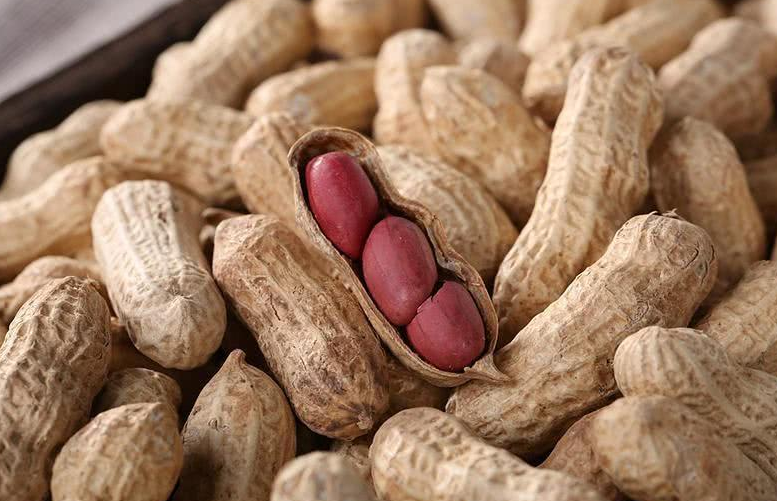 黄曲霉素 黄曲霉素